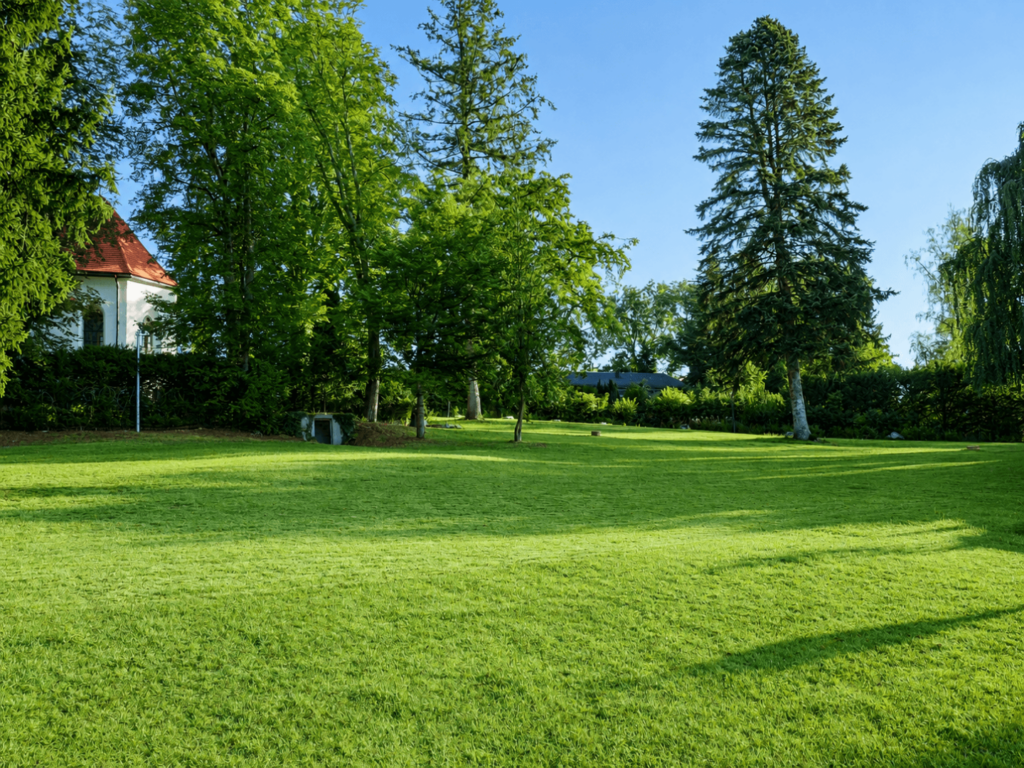 Gepflegter Parkcharakter mit altem Nadelbaumbestand